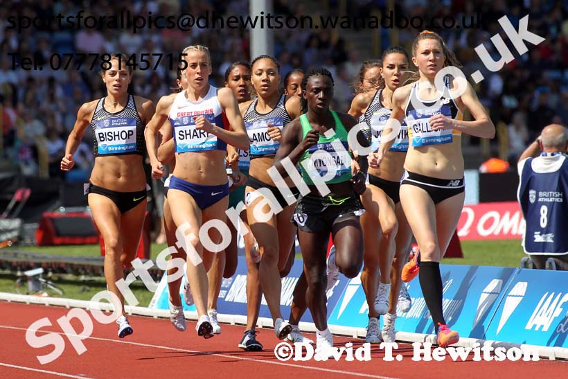 Womens 800 metres, IAAF Diamond League, Birmingham. Photo: David T. Hewitson/Sports for All Pics